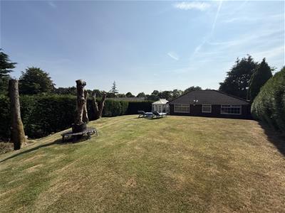 Picture 21